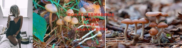 COCAINE Алексеевка