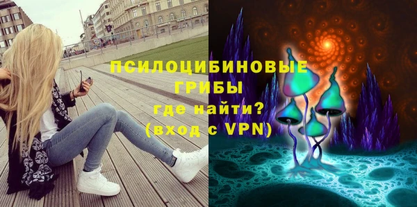 кокс Арсеньев