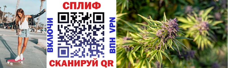 Купить закладки  Аркадак  Канабис планчик 